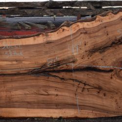 36221 Siberian Elm Slab 81"x56"-43"x3 3/8" April 2025