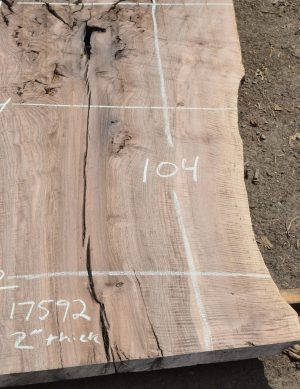 17592 Figured Bastogne Walnut Slab 104"x53"-42"x2" Kiln Dried - Image 5
