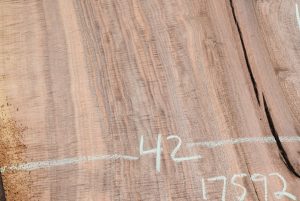 17592 Figured Bastogne Walnut Slab 104"x53"-42"x2" Kiln Dried - Image 6