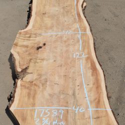 17589 Deodar Cedar Slab 122”x42”-39”x2 3/4”