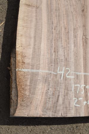 17592 Figured Bastogne Walnut Slab 104"x53"-42"x2" Kiln Dried - Image 9