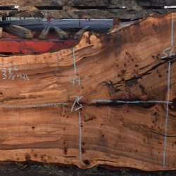 36222 Siberian Elm Slab 75"x56"-44"x3 3/8" April 2025