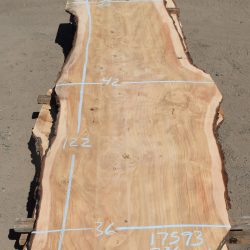 17593 Deodar Cedar Slab 122”x42”-35”x2 3/8