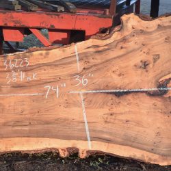 36223 Siberian Elm Slab 74"x53"-31"x3 3/8" April 2025