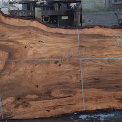 36227 Siberian Elm Slab 79"x53"-39"x3 1/4" April 2025