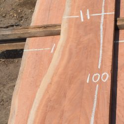 17600 Figured Red Gum Eucalyptus Board or Slab
