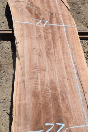 17594 Figured Claro Wanut Slab 159”x33”-27”x2 1/2” - Image 4