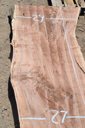 17594 Figured Claro Wanut Slab 159”x33”-27”x2 1/2” - Image 5