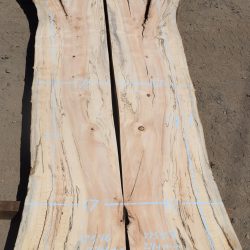 17586 & 17587 Bookmatch Spalted Maple Slabs 97”x41”-34”x2 1/4”