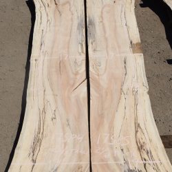 17585 & 17584 Bookmatch Spalted Maple Slabs 97”x42”-34”x2 1/8”
