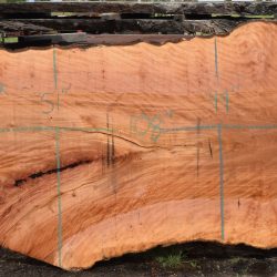 36198 Large Sycamore Slab 108”x58”-33”x3 3/8” April 2025