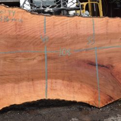 36194 Large Sycamore Slab 108”x63”-35”x3 3/8” April 2025