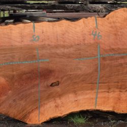 36199 Large Sycamore Slab 108”x56”-30”x3 3/8” April 2025