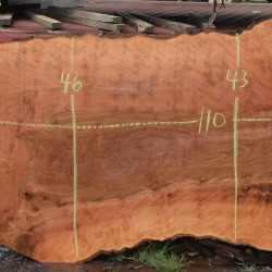 36200 Large Sycamore Slab 110”x49”-25”x3” April 2025