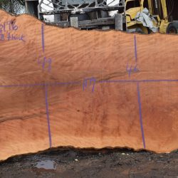36196 Large Sycamore Slab 109”x63”-33”x3 3/8” April 2025