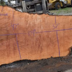 36197 Burly Large Sycamore Slab 109”x57”-24”x3 1/8” April 2025