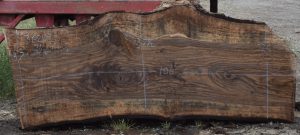 36202 Incredibly Figured Bastogne Walnut Slab 106"x37"-35"x3 1/2"