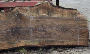 36202 Incredibly Figured Bastogne Walnut Slab 106"x37"-35"x3 1/2" - Image 3