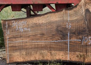 36204 Incredibly Figured Bastogne Walnut Slab 105″x33″-31″x3 3/8″ - Image 2