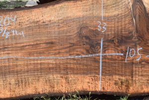 36204 Incredibly Figured Bastogne Walnut Slab 105″x33″-31″x3 3/8″ - Image 5