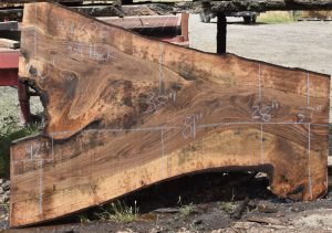 36208 Figured Bastogne Walnut Slab 81"x60"-28"x3 1/4" Apr 2025