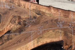 36208 Figured Bastogne Walnut Slab 81"x60"-28"x3 1/4" Apr 2025 - Image 4