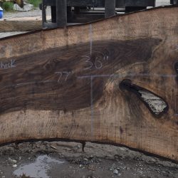 36209 Figured Bastogne Walnut Slab 77"x51"-36"x3 1/4" Apr 2025