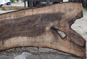 36209 Figured Bastogne Walnut Slab 77"x51"-36"x3 1/4" Apr 2025 - Image 2