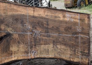 36210 Figured Bastogne Walnut Slab 77"x51"-36"x3 3/8" Apr 2025 - Image 4