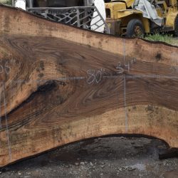 36211 Figured Bastogne Walnut Slab 80"x56"-34"x3 1/4" Apr 2025