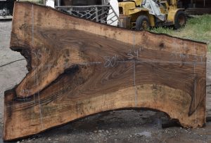 36211 Figured Bastogne Walnut Slab 80"x56"-34"x3 1/4" Apr 2025