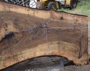 36211 Figured Bastogne Walnut Slab 80"x56"-34"x3 1/4" Apr 2025 - Image 2