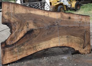 36211 Figured Bastogne Walnut Slab 80"x56"-34"x3 1/4" Apr 2025 - Image 5