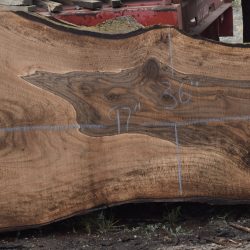 36213 Figured Bastogne Walnut Slab 107"x51"-36"x3 5/8" Apr 2025