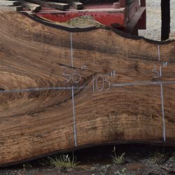 36214 Figured Bastogne Walnut Slab 112"x52"-31"x3 1/4" Apr 2025