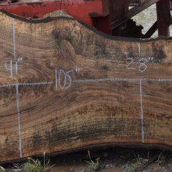 36215 Figured Bastogne Walnut Slab 111"x51"-28"x3 3/8" Apr 2025