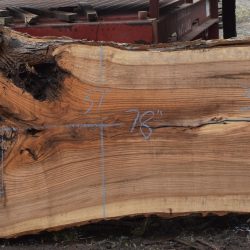 36216 Ash Slab 78"x49"-36"x3 3/8" April 2025