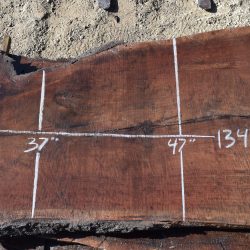 35523 Claro Walnut Slab 134”x62”-26”x3 3/8 February 2022