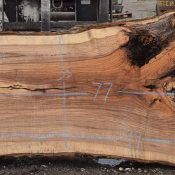 36219 Ash Slab 77"x48"-35"x3 1/4" April 2025