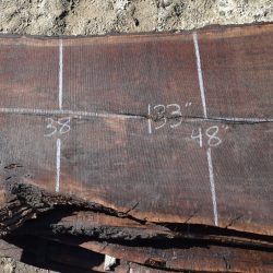 35524 Claro Walnut Slab 133”x59”-26”x3 3/8 February 2022