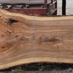 36217 Ash Slab 81"x50"-36"x2 3/4" April 2025