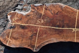 35544 Figured Claro Walnut Slab 126”x53”-34”x 5 1/2” Feb 2022 - Image 2