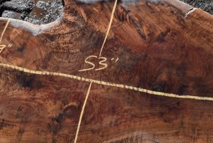 35544 Figured Claro Walnut Slab 126”x53”-34”x 5 1/2” Feb 2022 - Image 3