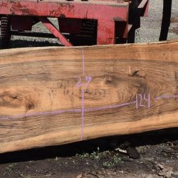 36258 Live Edge English Walnut Slab May 2025