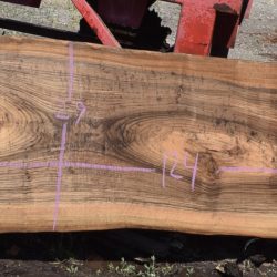 36259 Live Edge English Walnut Slab May 2025