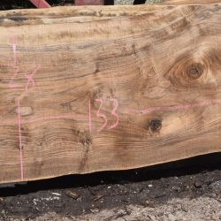 36265 Live Edge English Walnut Slabs May 2025