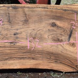 36266 Live Edge English Walnut Slabs May 2025
