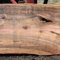 36267 English Walnut Slab 132"x31"-23"x3" May 2025