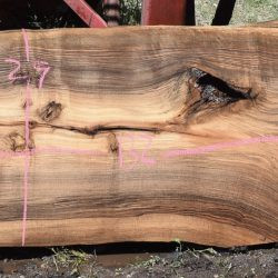 36268 English Walnut Slab 132"x31"-21"x3" May 2025