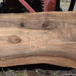 36269 English Walnut Slab 132"x30"-17"x3" May 2025